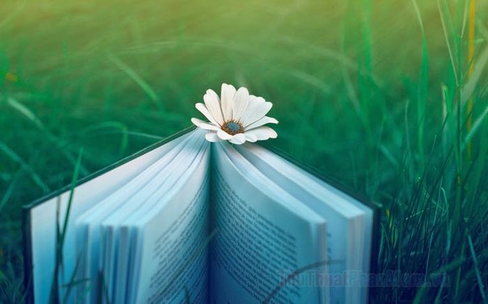 Sách Tâm Linh Việt Nam: Khám Phá Những Kiệt Tác Từ Inti Books