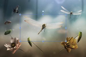 Đã đến lúc thức tỉnh mục đích sống...